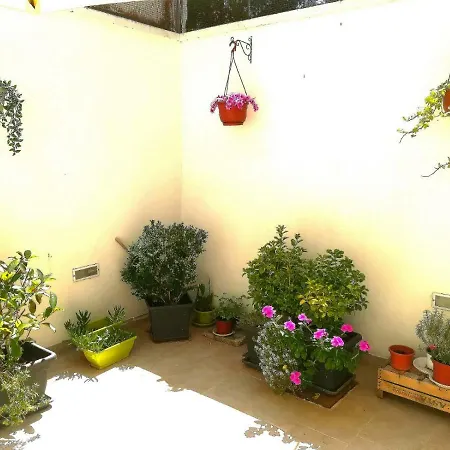 Apartmán David House